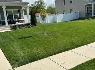 Daniella N.'s Lawn Mowing Service service result