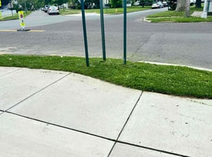 Mark R.'s Grass Cutting service result