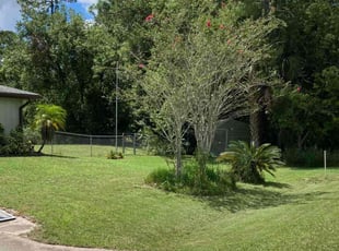 Shannon G.'s Lawn Mowing service result