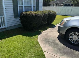 La Sandra J.'s Lawn Mowing Service service result