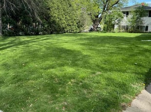 Tim H.'s Lawn Care service result