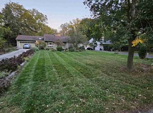 FRANCES E.'s Lawn Service service result