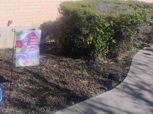 Washington L.'s Lawn Care service result