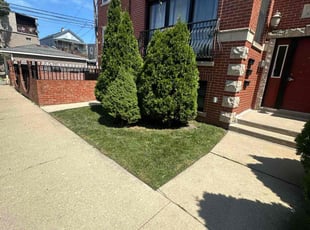 Draemion J.'s Lawn Maintenance service result