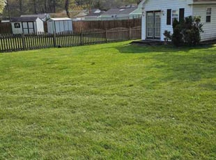 Raymond W.'s Lawn Mowing Service service result