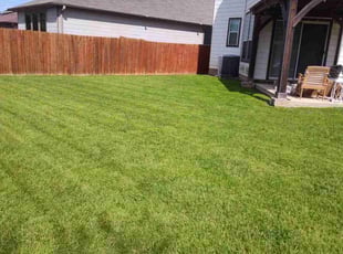 Marlon M.'s Yard Cutting service result