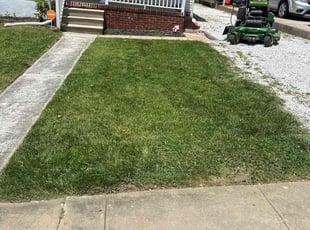 Alexander D.'s Lawn Mowing Service service result