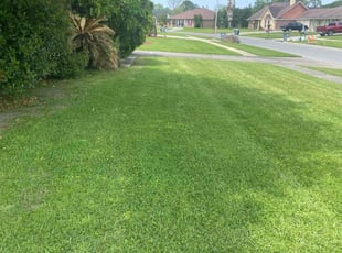 Kenneth G.'s Lawn Care service result
