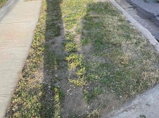 Cleanups by Carlos Reyna for Jim W. in Fontana, CA