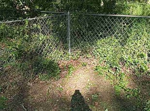 Bush Trimming by Depree Hart for Terrance W. in Rock Hill, SC