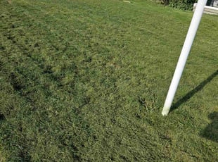 Deborah W.'s Lawn Service service result