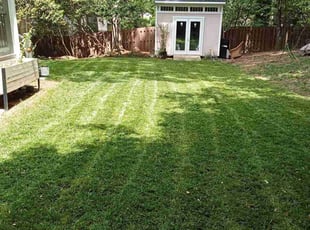 Eric B.'s Lawn Care service result