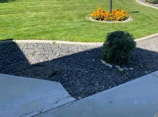 Jill B.'s Lawn Maintenance service result