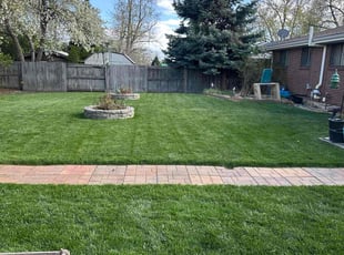 David C.'s Lawn Maintenance service result
