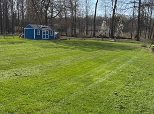 Kimberly L.'s Grass Cutting service result
