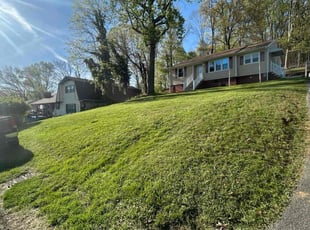 Renee Y.'s Yard Cutting service result
