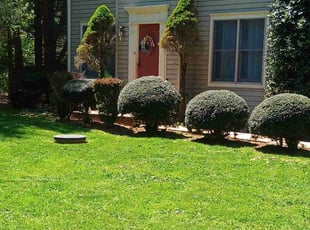 Shalonda C.'s Grass Cutting service result