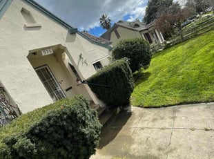 Bush Trimming by Luis Enrique Rafael Chavez for Stacy L. in San Jose, CA