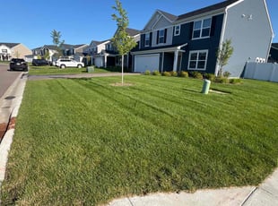 Lencho H.'s Lawn Mowing service result