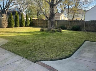 Jim or Sharon A.'s Lawn Service service result