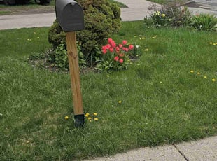 Sheniqua L.'s Yard Cutting service result