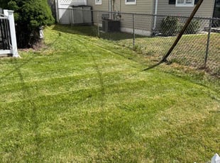 Andy Z.'s Lawn Service service result