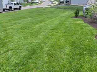 Ivy S.'s Lawn Service service result