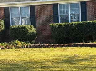 Weeding by Larry Gordon for Michael A. in Chesapeake, VA