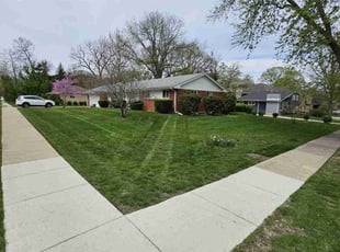 Alison K.'s Lawn Mowing service result