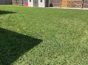 Nicholas B.'s Grass Cutting service result