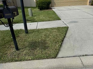 Jeremy J.'s Lawn Mowing service result