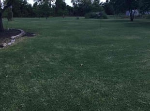 Claudio B.'s Grass Cutting service result