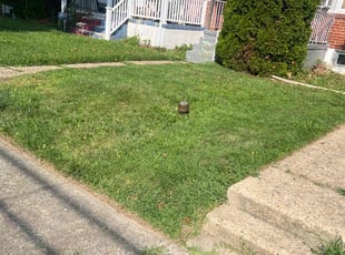 JeLani W.'s Lawn Mowing service result