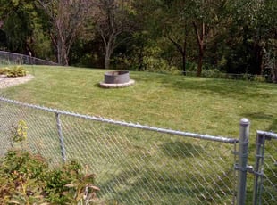 Phuong L.'s Lawn Mowing service result