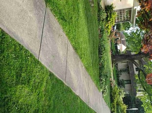 Lewis R.'s Lawn Care service result