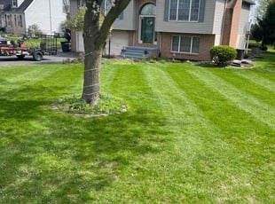 Vernon K.'s Lawn Mowing service result