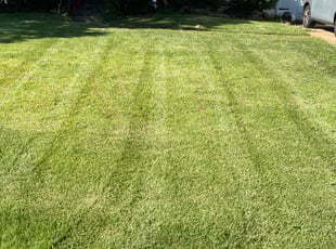 Miche H.'s Lawn Mowing Service service result