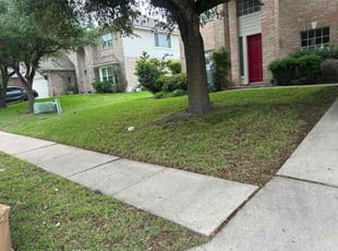 Leaf Removal by Dontrey Chambers for Reiko R. in Pflugerville, TX