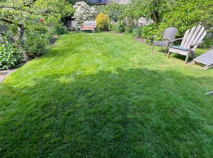 Darren P.'s Grass Cutting service result