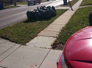 Leaf Removal by Keith White for Andreja C. in Lorain, OH