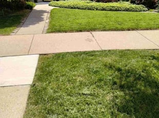 Stephen S.'s Lawn Service service result