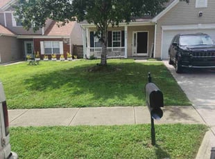 Imporis P.'s Lawn Care service result