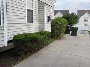 Bush Trimming by Billy Webb for Sarah M. in Concord, NC