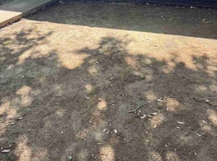 Cleanups by Kristin Sanders for Michael H. in Lafayette, LA