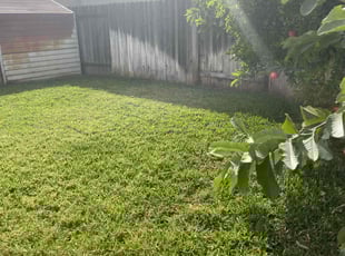 Estelle F.'s Yard Cutting service result