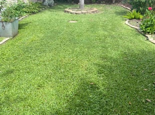 William K.'s Lawn Service service result
