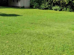Brandon C.'s Yard Cutting service result