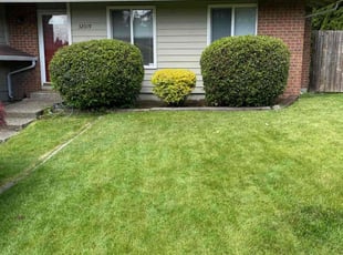 Bush Trimming by Mike Davis for Conna S. in Federal Way, WA