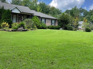 Vincent G.'s Yard Cutting service result