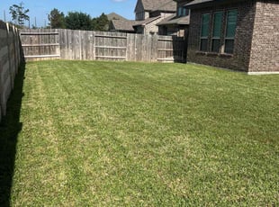 Sheila G.'s Lawn Service service result